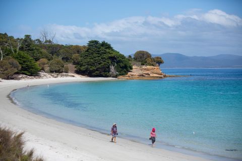 From Hobart: Maria Island National Park Active Full-Day Tour