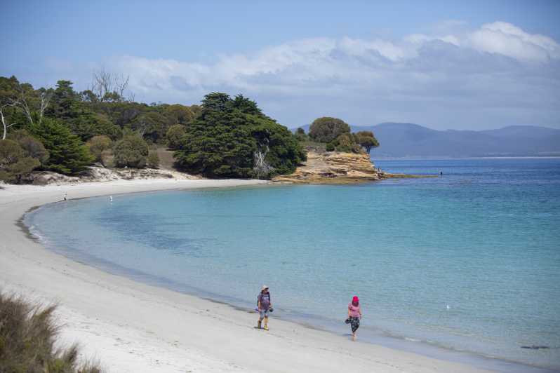 Hobart: Maria Island National Park Active Full-Day Tour