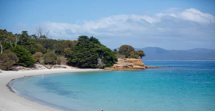 Hobart: Maria Island National Park Active Full-Day Tour