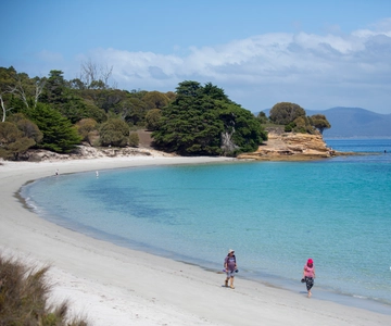 Hobart Maria Adası Ulusal Parkı Aktif Tam Gün Turu