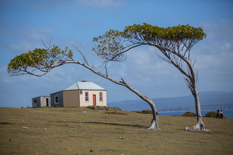 Hobart: Maria Island National Park Active Full-Day Tour From Hobart: Maria Island National Park Active Full-Day Tour