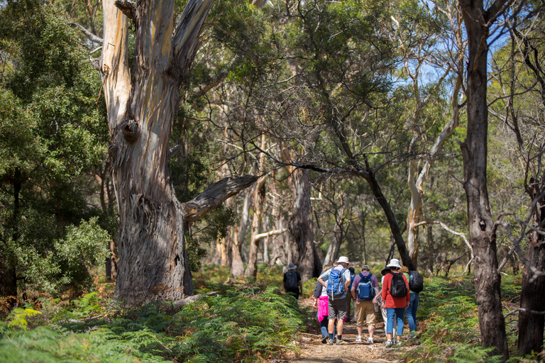 Hobart: Maria Island National Park Active Full-Day Tour From Hobart: Maria Island National Park Active Full-Day Tour