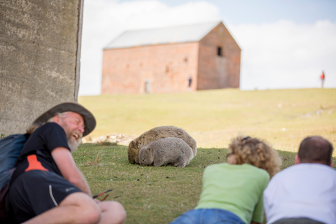 Hobart: Maria Island National Park Active Full-Day Tour From Hobart: Maria Island National Park Active Full-Day Tour