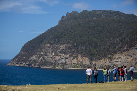 Hobart: Maria Island National Park Active Full-Day Tour From Hobart: Maria Island National Park Active Full-Day Tour