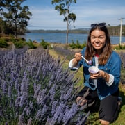 Hobart: Port Arthur, Lavender Farm, Richmond & Tasman NP