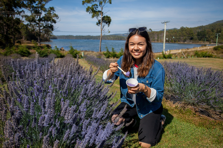 Hobart: Port Arthur, Lavender Farm, Richmond & Tasman NP