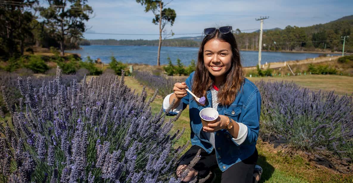 Hobart: Port Arthur and Lavender Farm Tour
