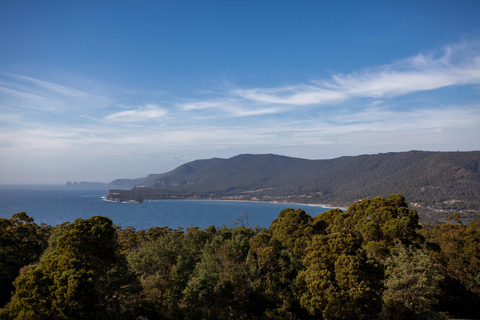 Hobart: Port Arthur, Lavender Farm, Richmond & Tasman NP