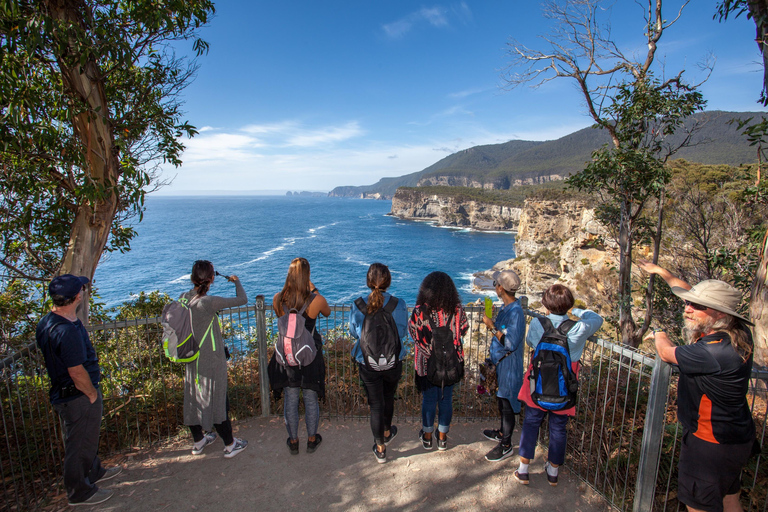 Hobart: Port Arthur, Lavender Farm, Richmond & Tasman NP