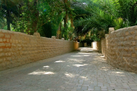 Vanuit Dubai: Al Ain tuinstad sightseeingervaringAl Ain tuinstad sightseeingervaring privé