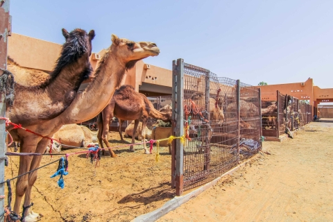 Z Dubaju: całodniowa wycieczka po Al Ain Garden CityAl Ain Garden City Całodniowa wycieczka krajoznawcza — prywatna