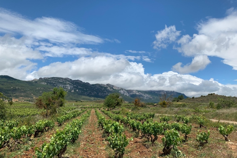 Von San Sebastian: Rioja Wine Tour