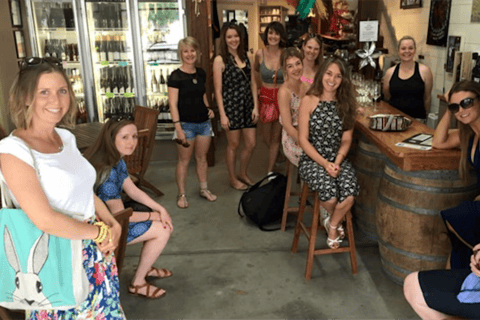 Da Adelaide: Hahndorf e Barossa Valley con pranzo in cantina