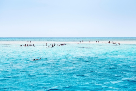 Parc national Ras Muhammad : île Blanche et plongéeSéance de snorkeling