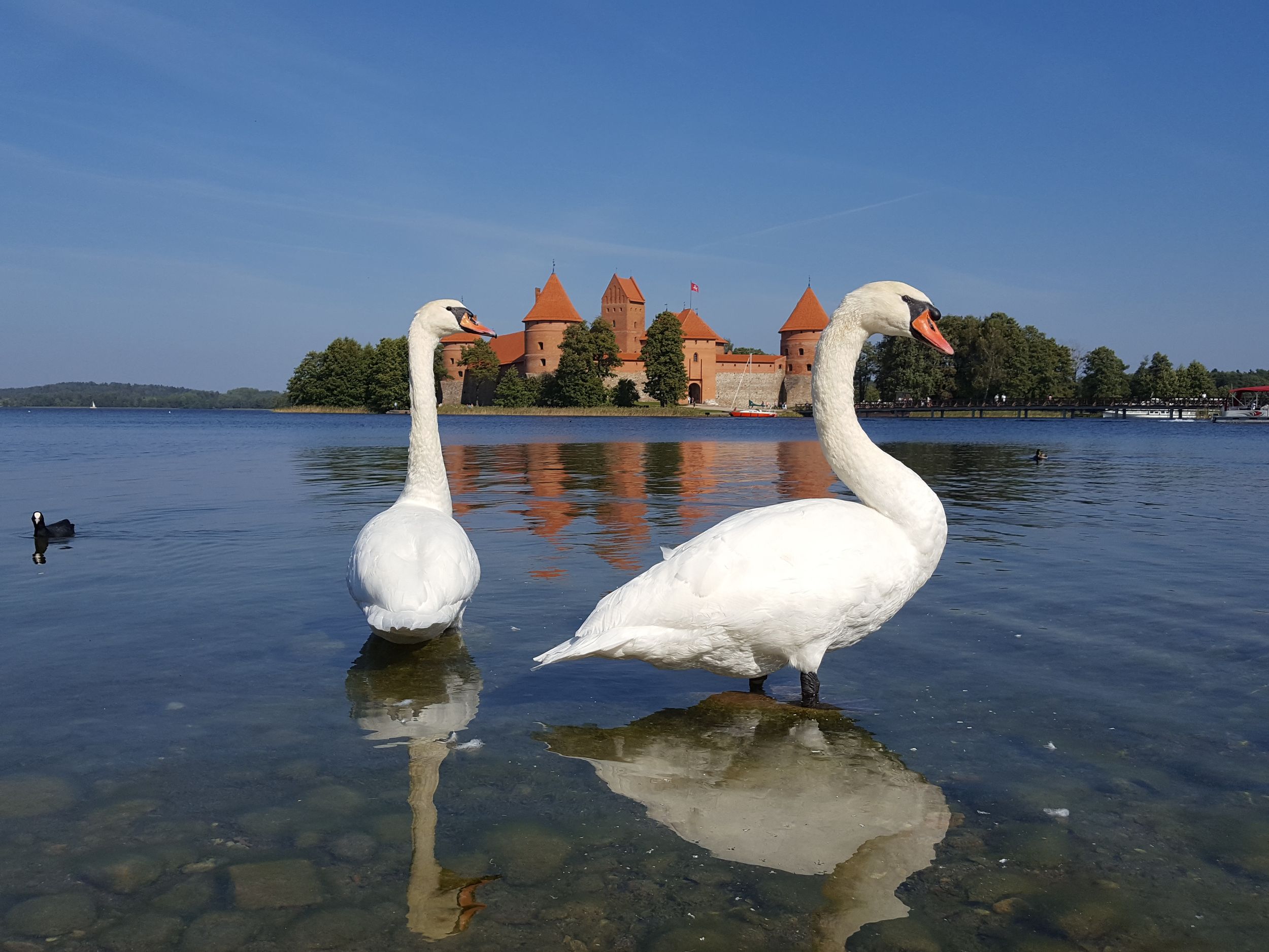 Ab Vilnius: Burg Trakai und Paneriai Memorial Tour
