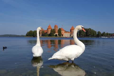 From Vilnius: Trakai Castle and Paneriai Memorial Tour