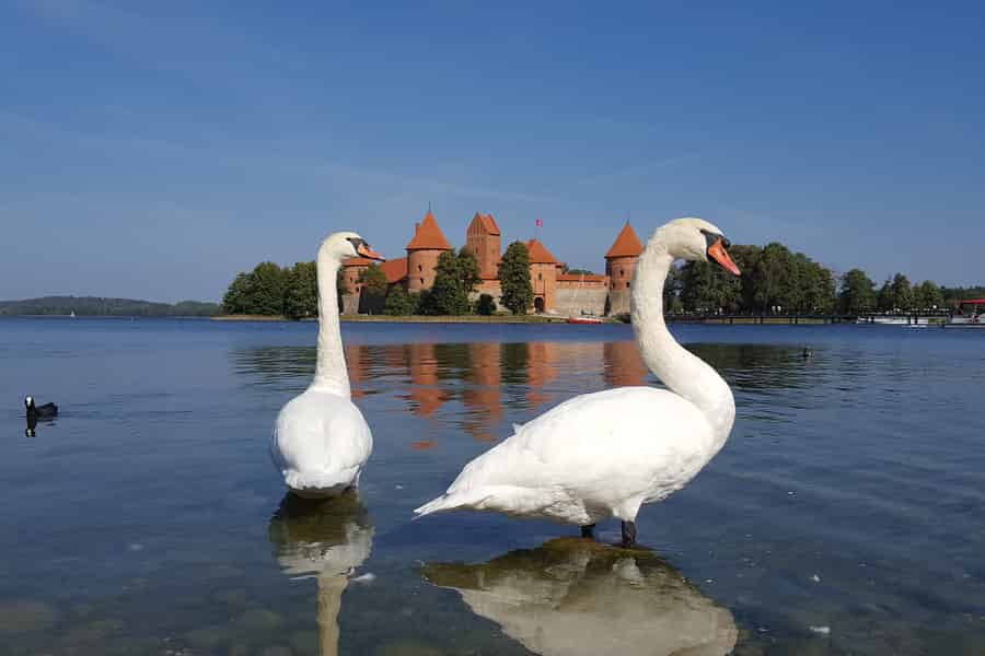 Ab Vilnius: Burg Trakai und Paneriai Memorial Tour. Foto: GetYourGuide Ab Vilnius: Burg Trakai und Paneriai Memorial Tour. Foto: GetYourGuide