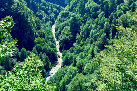 4-Day Black Sea and Batumi Tour from Safranbolu Flight option