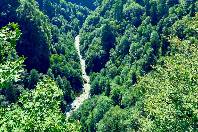 4-Day Black Sea and Batumi Tour from Safranbolu Flight option