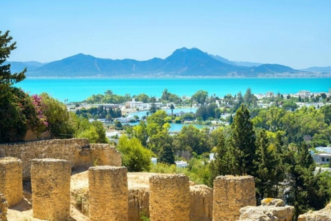 Túnez: Excursión Privada de un Día por los Lugares Destacados de TúnezTúnez: Excursión privada de un día por los lugares más destacados de Túnez