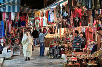 Tunis, Tour privado de día completo de Túnez - Hizvo
