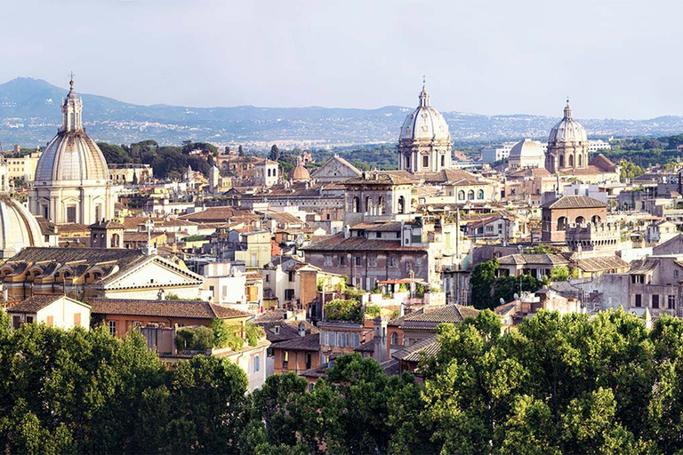 Rome: visite privée d'une demi-journée de la ville avec pizza et gelato