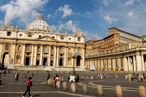 Rome: visite privée d'une demi-journée de la ville avec pizza et gelato