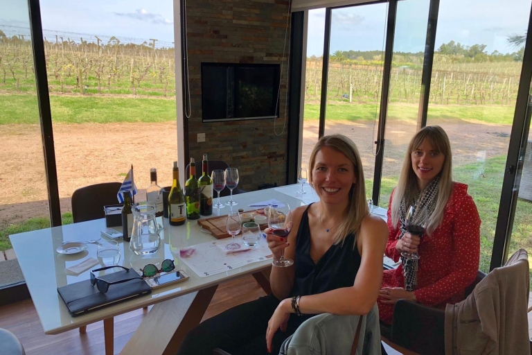 Montevideo: experiencia de vino de Tannat en CanelonesSolo experiencia en vinos