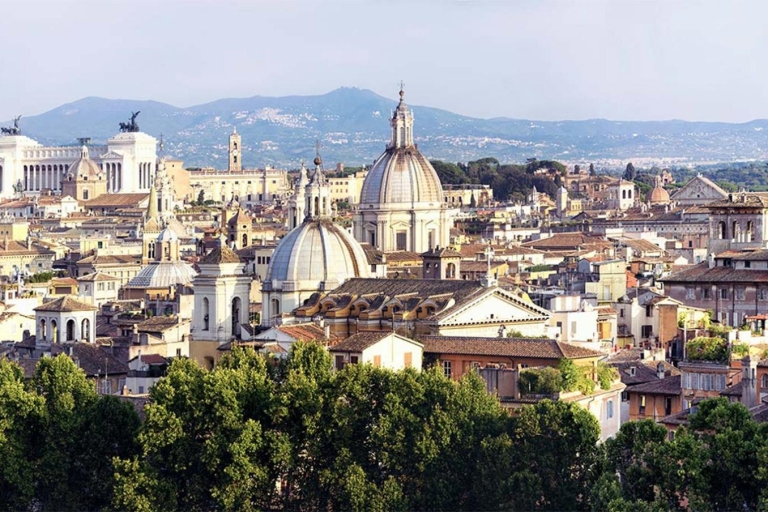 Rome: privérondleiding van 3 uur per voertuig met chauffeur