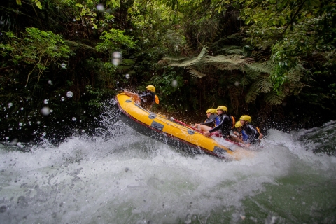 Rotorua: Spływ kajakowy rzeką Kaituna