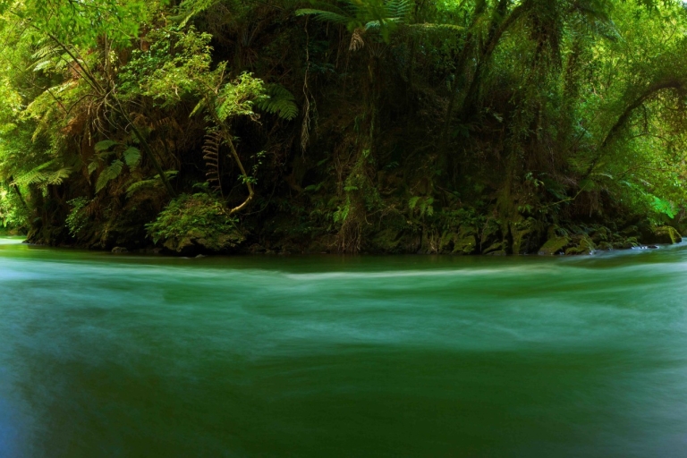 Rotorua: Spływ kajakowy rzeką Kaituna