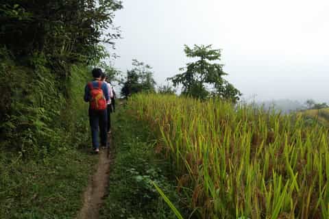 4 Days Trekking in Hoang Su Phi – Ha Giang