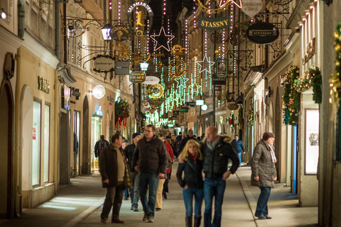 从维也纳到萨尔茨堡的奇妙冬季一日旅行英语之旅