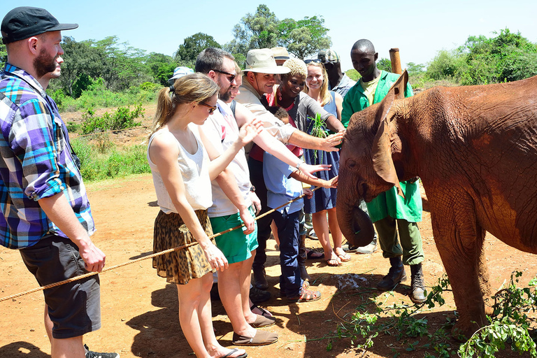 Nairóbi: Parque Nacional, Santuário de Elefantes e Centro de GirafasParque Nacional, girafas e passeio de elefante bebê - sem taxas