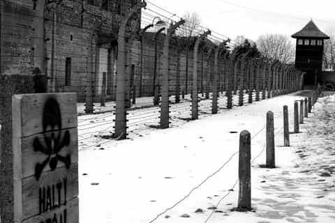 From Krakow: Auschwitz-Birkenau Group Guided Tour
