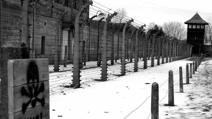 from krakow auschwitzbirkenau group guided tour