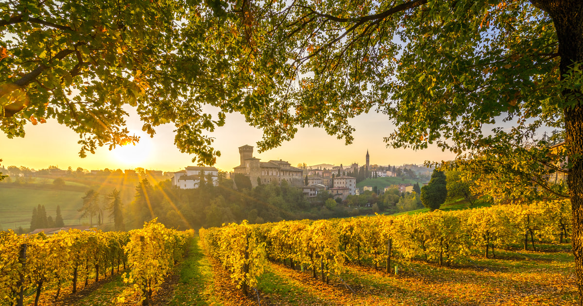 From Bologna and Modena Wine Tour with Lunch GetYourGuide