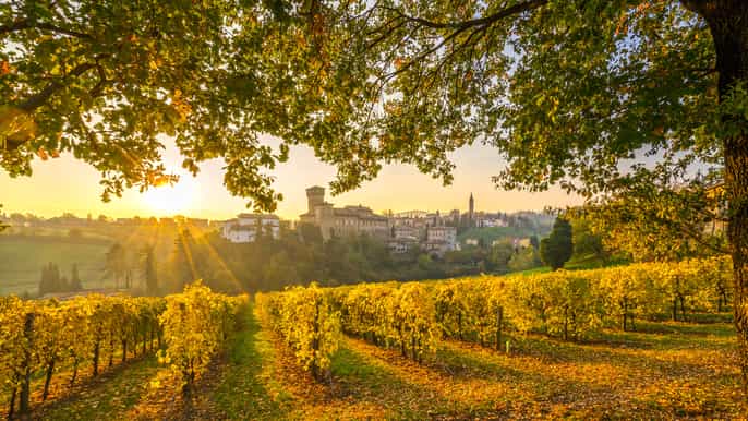 from bologna and modena wine tour with lunch