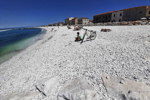 Pisa: Fietsen naar de zee tijdens een zelf rondleiding