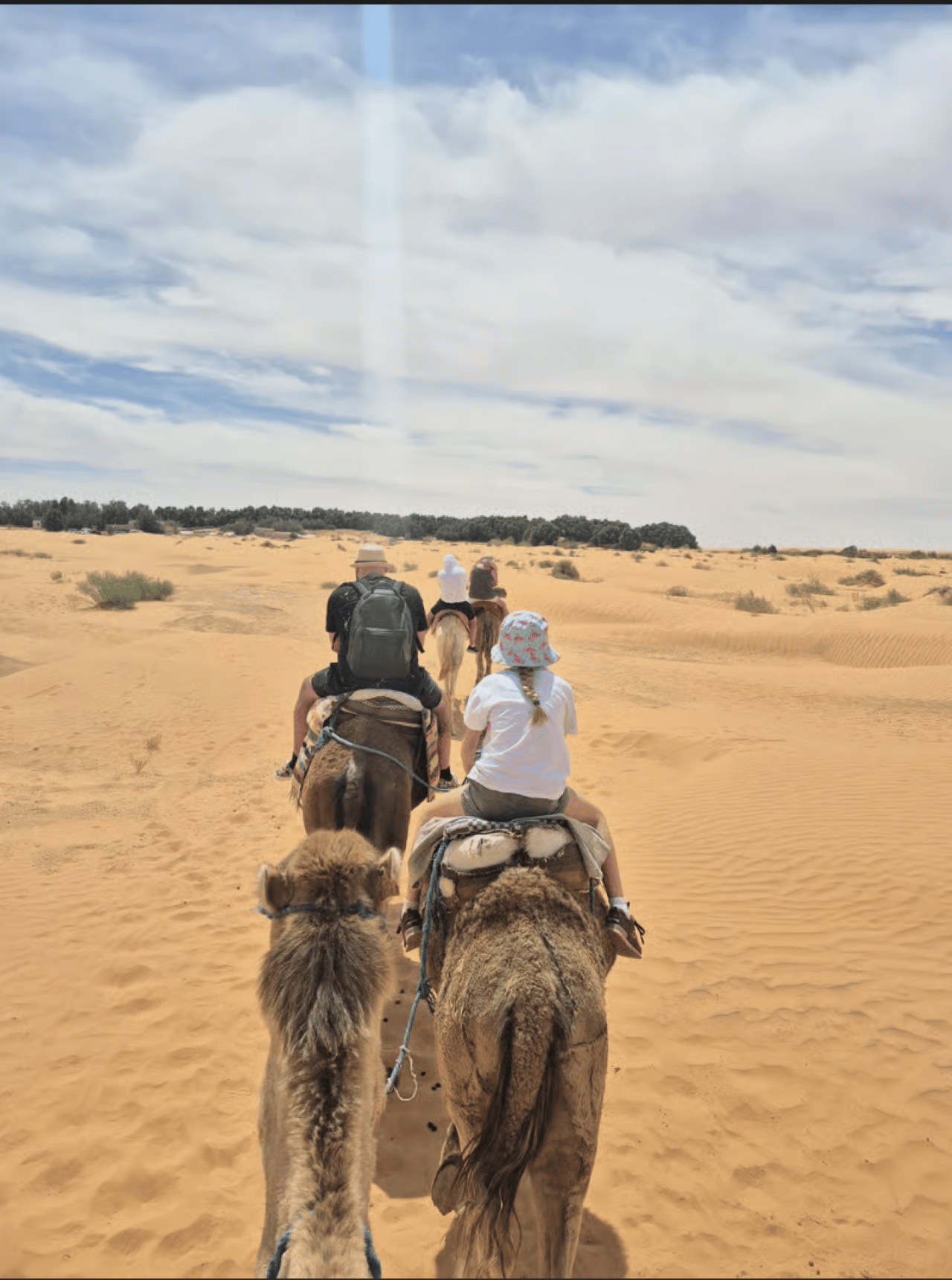 Ab Djerba: Sahara-Wüstentour mit dem Geländewagen nach Ksar Ghilane & Tataouine