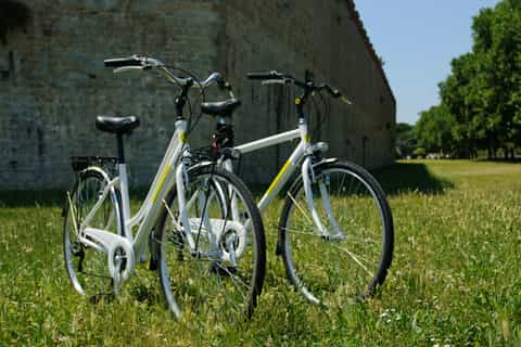 Pisa: Self-Guided Bike Tour to Lucca