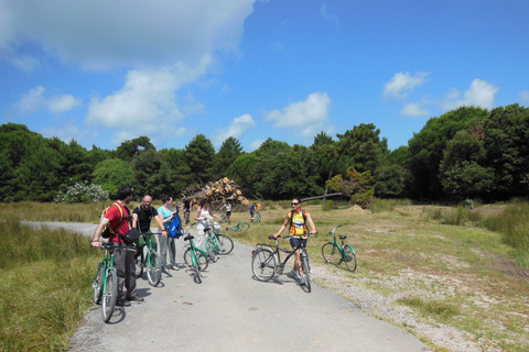 Van Pisa naar Lucca langs het Puccini fietspadPisa: Zelf rondleiding naar Lucca met E-bike