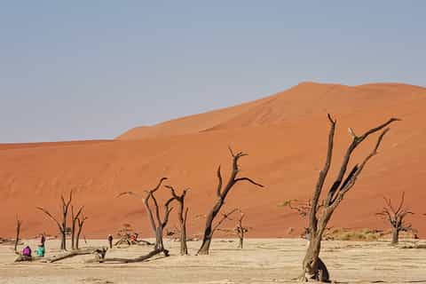 Da Swakopmund: tour guidato di Sosussvlei di due giorni
