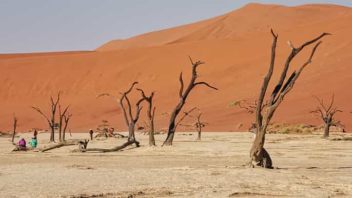 from swakopmund twoday sosussvlei guided tour