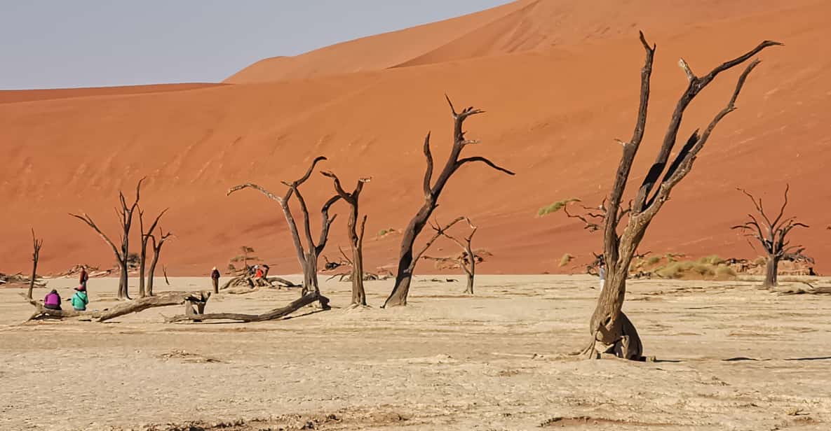 Da Swakopmund: tour guidato di Sosussvlei di due giorni