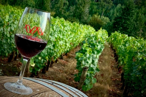 From Portland: Wine and Waterfalls Day Tour Private Tour