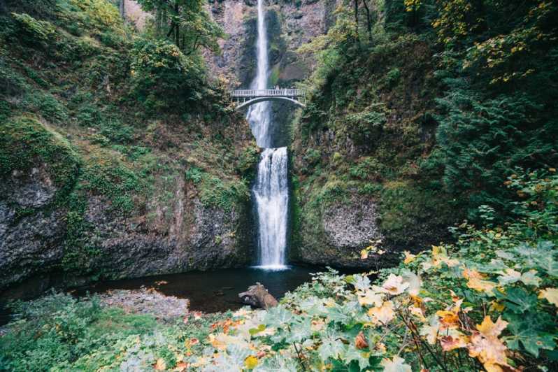 From Portland: Waterfalls, Mt Hood, and Wine Day Tour