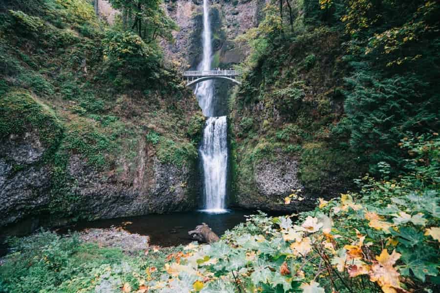 Von Portland aus: Wasserfälle, Mt. Hood und Wein Tagestour. Foto: GetYourGuide