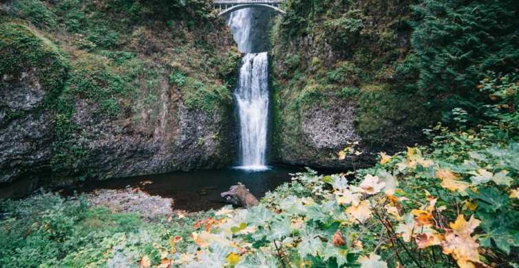 The BEST Columbia River Gorge Private tours 2024 - FREE Cancellation