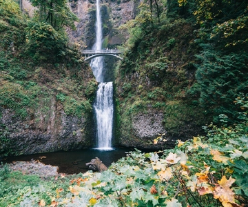 Portland: Columbia River Gorge Waterfalls Afternoon Tour